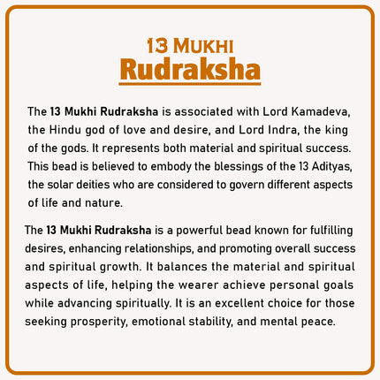 Original 13 Mukhi Rudraksha Bead | Thirteen Face Rudraksha Symbol of Lord Indra for Leadership, Protection & Prosperity