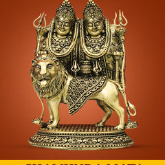 Collection image for: Chamunda Mata Devi Idol/Murti