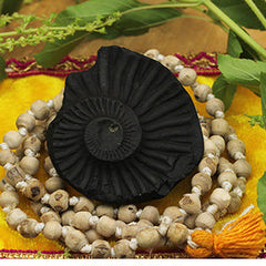 Collection image for: Shaligram