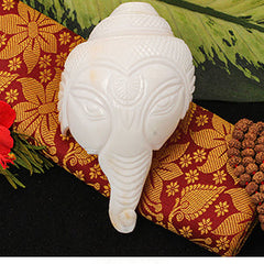 Collection image for: Shankh (Conch Shell)