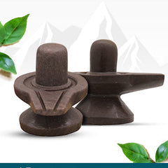 Collection image for: Narmada Shivling