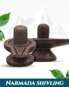 Collection image for: Narmada Shivling