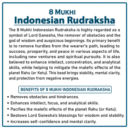 Eight Mukhi Rudraksha (Indonesia) – Rare Eight-Faced Bead of Lord Ganesha for Success, Prosperity & Wisdom