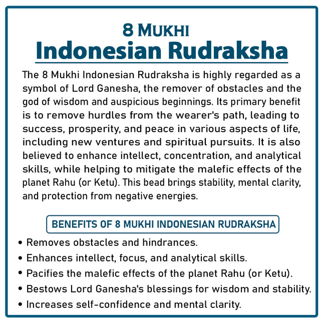 Eight Mukhi Rudraksha (Indonesia) – Rare Eight-Faced Bead of Lord Ganesha for Success, Prosperity & Wisdom
