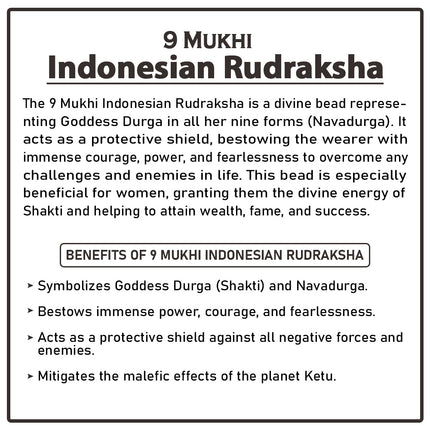 9 Mukhi Indonesia Rudraksha Bead | Powerful Nine-Faced Rudraksha for Spiritual Growth, Wealth & Protection