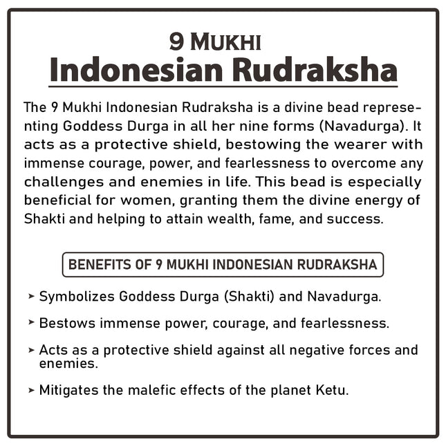 9 Mukhi Indonesia Rudraksha Bead | Powerful Nine-Faced Rudraksha for Spiritual Growth, Wealth & Protection