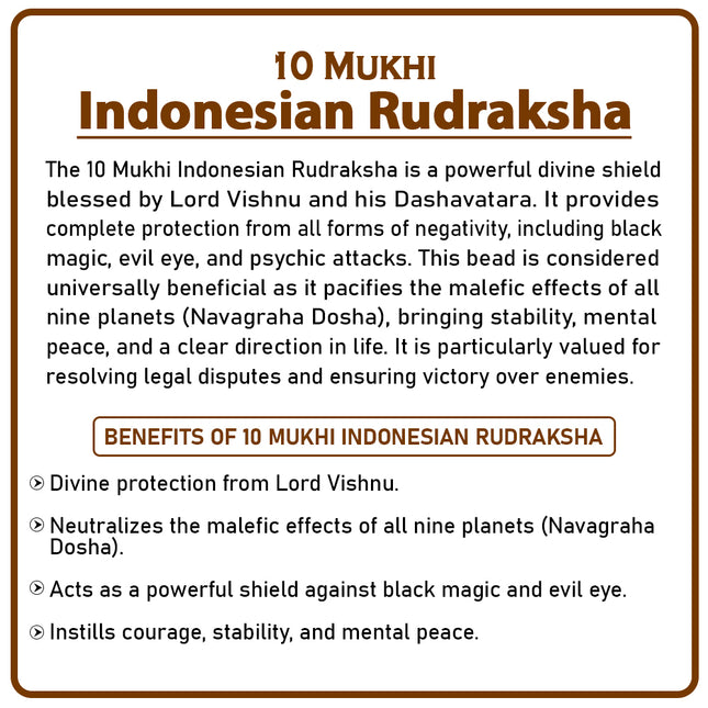 10 Mukhi Rudraksha Bead | Rare Ten-Faced Rudraksha for Spiritual Growth, Wealth & Protection