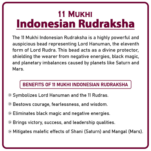 Rare 11 Mukhi  Indonesian Rudraksha Bead Eleven-Faced 11 Mukhi Rudraksha Enhance Strength, Remove Obstacles & Attract Prosperity