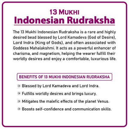 13 Mukhi Rudraksha Bead from Indonesia | Rare Thirteen-Faced Rudraksha for Spiritual Growth, Wisdom, Wealth & Protection