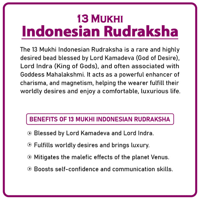 13 Mukhi Rudraksha Bead from Indonesia | Rare Thirteen-Faced Rudraksha for Spiritual Growth, Wisdom, Wealth & Protection