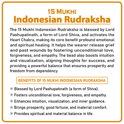 15 Mukhi Rudraksha Bead from Indonesia | Powerful Fifteen-Faced Rudraksha for Emotional Healing, Love & Spiritual Growth | Original Java Bead Blessed by Lord Pashupatinath