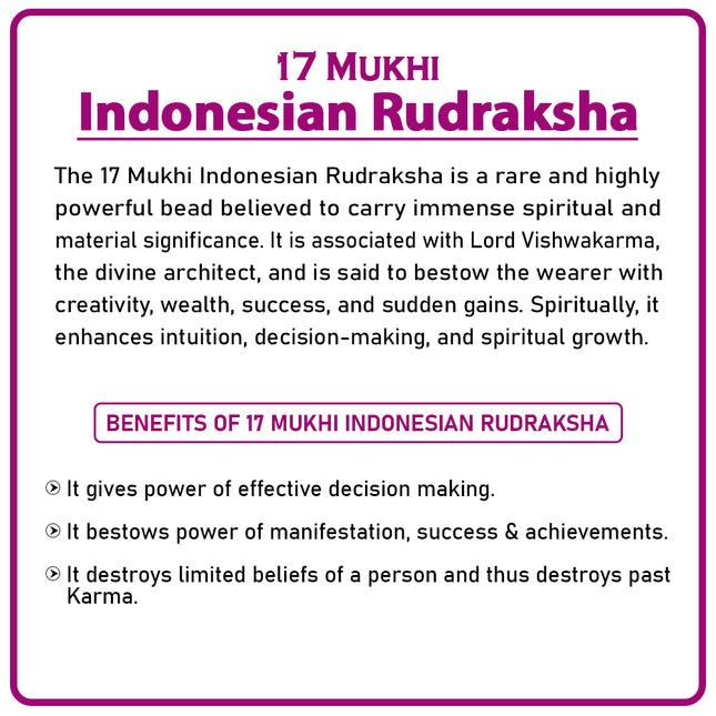 17 Mukhi Rudraksha Bead from Indonesia | Rare Seventeen-Faced Rudraksha for Wealth, Success & Spiritual Growth