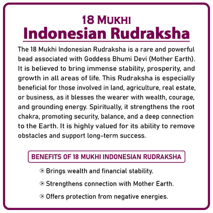 18 Mukhi Rudraksha Bead from Indonesia | Rare Eighteen-Faced Rudraksha of Goddess Bhumi Devi for Wealth, Stability & Prosperity