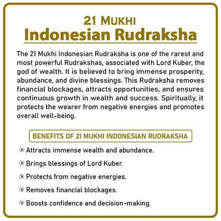 21 Mukhi Rudraksha from Indonesia | Rare Ekees-Faced Bead Representing Lord Kubera & Lord Dhanvantari for Wealth, Health & Prosperity
