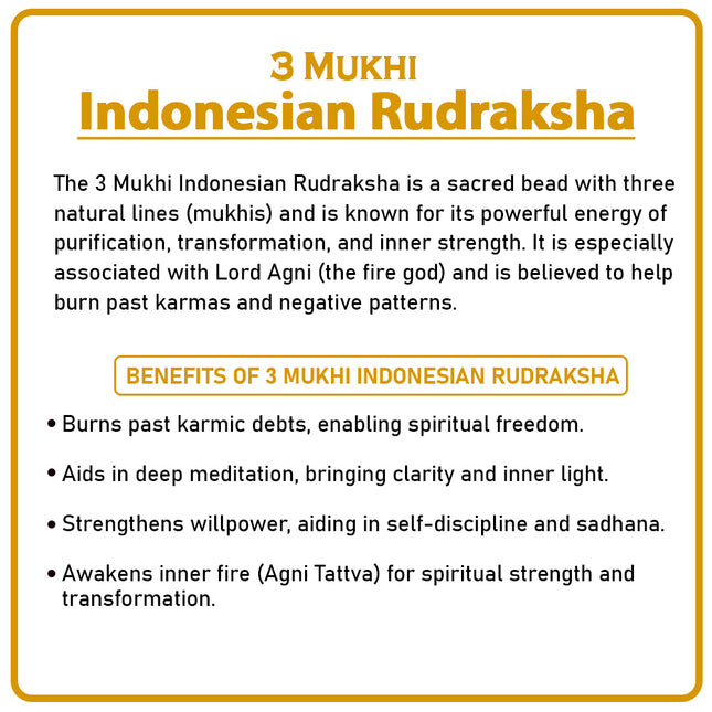 Three Mukhi Rudraksha (Indonesia) – Rare Tri-Faced Spiritual Bead for Lord Agni & VitalityRare Tri-Faced Three Mukhi Rudraksha – Indonesian Lord Agni Bead for Meditation & Positive Energy