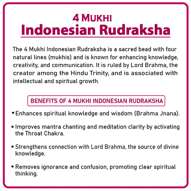 Four Mukhi Rudraksha (Indonesia) – Rare Quad-Faced Bead of Lord Brahma for Wisdom & Knowledge