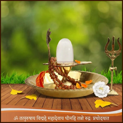 Original Sphatik Shivling – Natural Crystal Quartz Shiva Lingam for Home Mandir & Abhishek – Spiritual Crystal Lingam for Devotional Worship