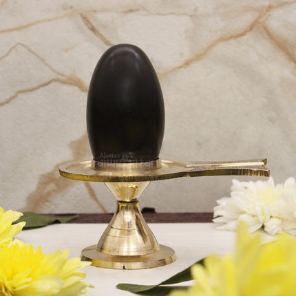नर्मदेश्वर शिवलिंगम सेटसह दिव्य पितळी जलधारी | पूजा मंदिर सजावट | आध्यात्मिक घरगुती पूजेचे साहित्य | महाशिवरात्री आणि श्रावण महिन्यासाठी विशेष