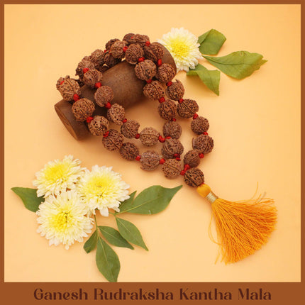 Vighnaharta Vignavinashak Siddha Siddhivinayak  Ganesh Rudraksha  Kantha Mala( 36+1)  for Puja, Meditation & Daily Wear(13 INCH )