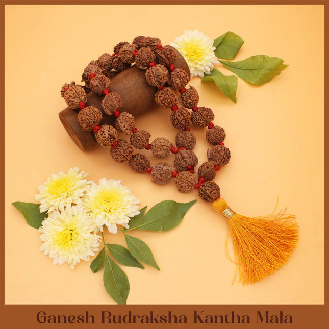 Vighnaharta Vignavinashak Siddha Siddhivinayak  Ganesh Rudraksha  Kantha Mala( 36+1)  for Puja, Meditation & Daily Wear(13 INCH )