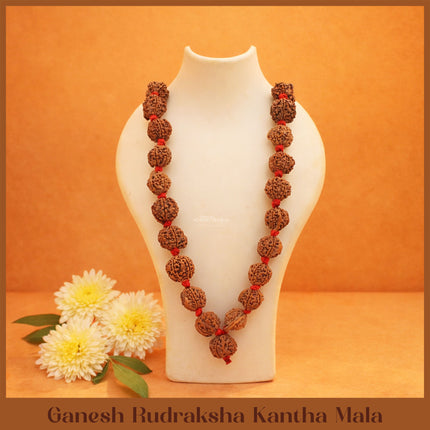 Vighnaharta Vignavinashak Siddha Siddhivinayak  Ganesh Rudraksha  Kantha Mala( 36+1)  for Puja, Meditation & Daily Wear(13 INCH )