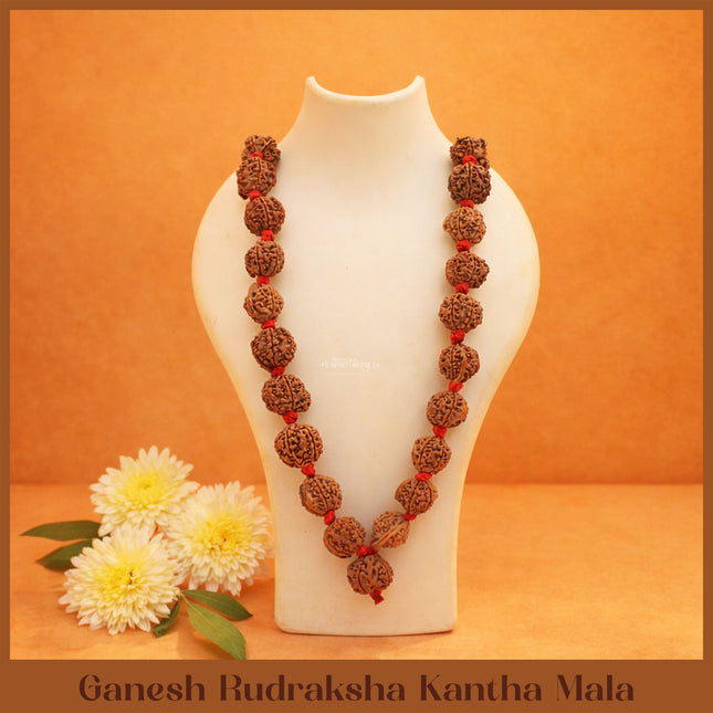 Vighnaharta Vignavinashak Siddha Siddhivinayak  Ganesh Rudraksha  Kantha Mala( 36+1)  for Puja, Meditation & Daily Wear(13 INCH )