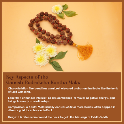 Vighnaharta Vignavinashak Siddha Siddhivinayak  Ganesh Rudraksha  Kantha Mala( 36+1)  for Puja, Meditation & Daily Wear(13 INCH )
