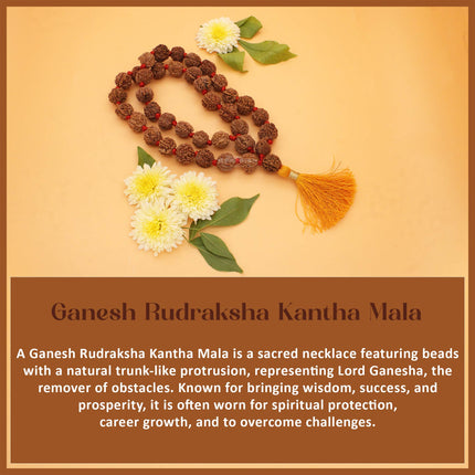 Vighnaharta Vignavinashak Siddha Siddhivinayak  Ganesh Rudraksha  Kantha Mala( 36+1)  for Puja, Meditation & Daily Wear(13 INCH )