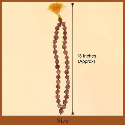 Vighnaharta Vignavinashak Siddha Siddhivinayak  Ganesh Rudraksha  Kantha Mala( 36+1)  for Puja, Meditation & Daily Wear(13 INCH )