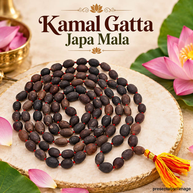 Kamal Gatta Mala  Beads Original Big Lotus Seeds Japa Mala for Laxmi Pooja and Wearing - Grey