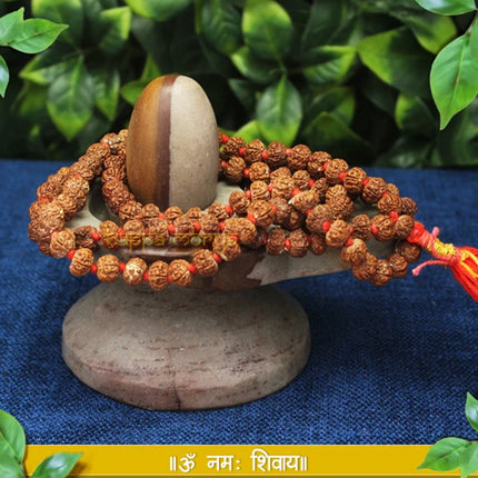 Ananta Omkara Trinetra Narmadeshwar Shiva Lingam Set with a traditional Yonibase, ideal for daily puja and Abhishek rituals Special For Shravan And Mahashivratri Worship