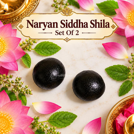 Narayan Siddha Shila – Sacred Symbol of Bhagwan Vishnu