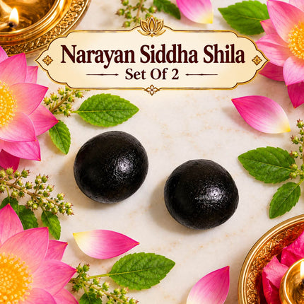 Narayan Siddha Shila – Sacred Symbol of Bhagwan Vishnu (Set  of 2)