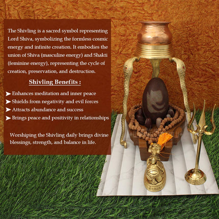 Divine Shiva Dhyan Sadana Shivling  Jyotirlingam Set | Sacred Pooja & Meditation Item Ideal for Shravan & Mahashivratri Worship