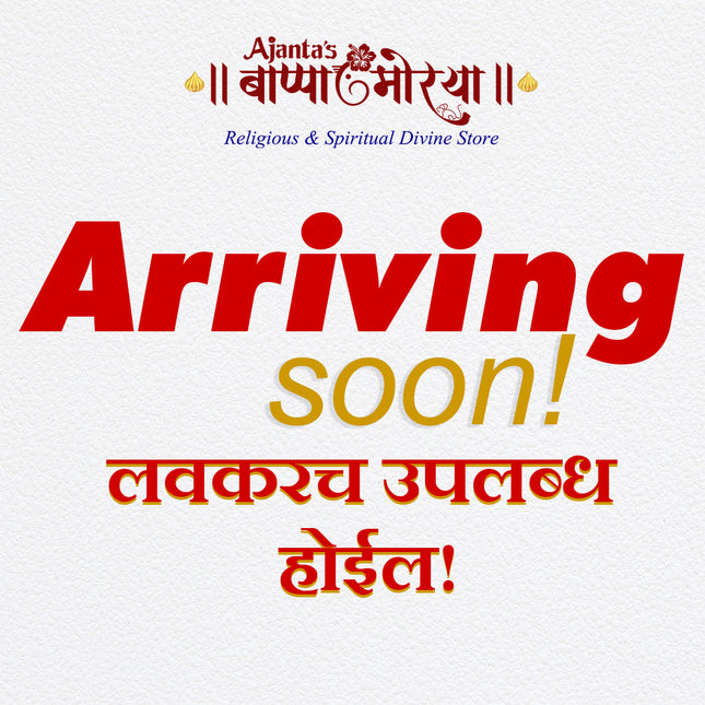 Traditional Hindu Blowing Shankh | Natural Conch Shell for Puja, Aarti & Worship Handpicked Natural Blowing Shankh – Traditional Bajane Conch for Worship & Temple Use