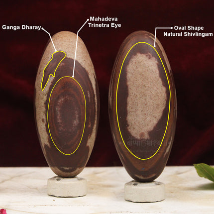GangaDhara Oval Shape Mahadev Shivlingam | Lord Shiva Puja Set for Home Mandir & Abhishek Lord Shiva Puja Set Including Abhishek Accessories for Home Mandir, Shravan Month, Mahashivratri & Spiritual Worship