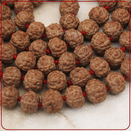 Mahakal Mahadev Holy Rudraksha Prayer Beads Mala – 108 Beads Japa Mala  for Mantra Chanting & Positivity Traditional Rudraksha Seed Mala for Japa, Meditation & Inner Balance