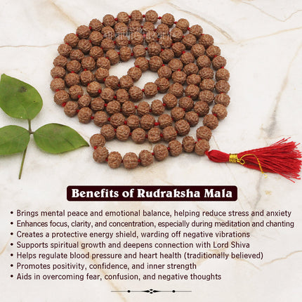 Divine 108 Beads Rudraksha Natural Seed Prayer Beads Rudraksha  Powerful Rudraksha Mala for Positive Vibes, Meditation, Mantra Japa Mala, Shiv Blessings( 16 inch )
