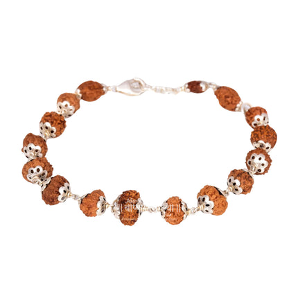 Siddha Rudraksha Bracelet 1 to 14 Mukhi Java Rudraksha in silver caps with Certificate
