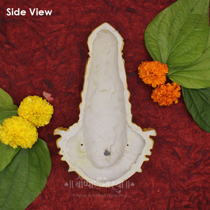 Divine Kolhapuri Mahalakshmi Ambabai Mukhota | Real Look  Handcrafted Devi Face | Premium Polyfiber Mukhavata for Pooja and Spiritual Décor (8.5 Inch )