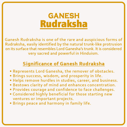 Ganesh Rudraksha – Original Nepal Bead with Natural Trunk Mark | Blessed by Lord Ganesha for Success, Wisdom & Prosperity | Certified Spiritual Rudraksha for Positive Energy