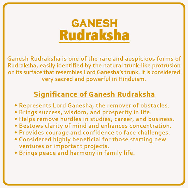 Ganesh Rudraksha – Original Nepal Bead with Natural Trunk Mark | Blessed by Lord Ganesha for Success, Wisdom & Prosperity | Certified Spiritual Rudraksha for Positive Energy