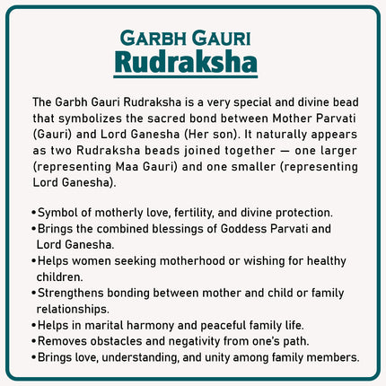 Garbh Gauri Rudraksha – Sacred Twin Bead Symbol of Mother and Child | Blessings of Fertility, Love & Harmony | Genuine Natural Rudraksha for Devotion & Protection