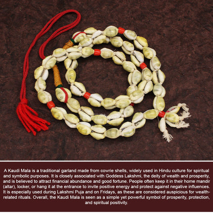 Kolhapur Ambabai Tulja Bhavani Kavdi Mala कौडी माळ / कवडी माळ Handmade Cowrie Shell Shringar Mala for Navratri Pooja - (big Size)