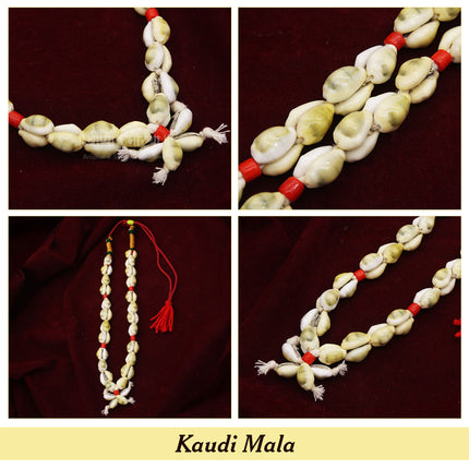 Ambabai  Tulja Bhavani Kaudi Mala Traditional Maharashtrian Cowrie Shell Mala  (कौडी माळ / कवडी माळ) | Traditional Cowrie Shell Devi Shringar Mala for Navratri Pooja & Temple Decoration for Devi Idol Decoration & Spiritual Rituals