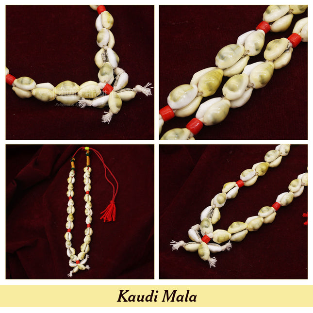 Kaudi Mala कौडी माळ  कवडी माळ पारंपरिक कवडी माळ देवी श्रृंगार माळ पूजा सजावट माळ for Ambabai Tulja Bhavani Shringar & Home Mandir Decoration(Small)