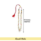Small (50 to 54 Pcs approx )