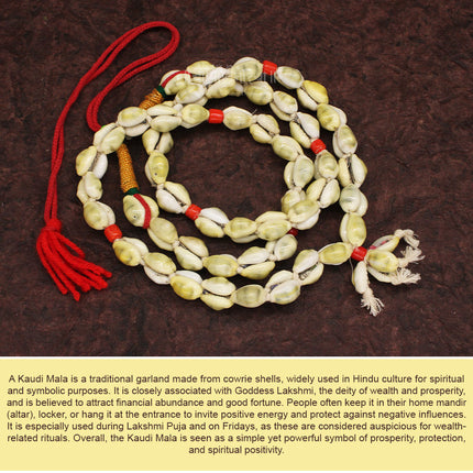 Ambabai  Tulja Bhavani Kaudi Mala Traditional Maharashtrian Cowrie Shell Mala  (कौडी माळ / कवडी माळ) | Traditional Cowrie Shell Devi Shringar Mala for Navratri Pooja & Temple Decoration for Devi Idol Decoration & Spiritual Rituals