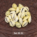 SET OF 21