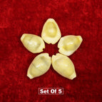 SET OF 5
